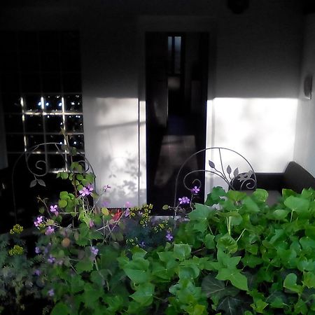 Apartment Poropat โปเรช ห้อง รูปภาพ