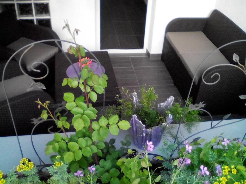 Apartment Poropat โปเรช ห้อง รูปภาพ