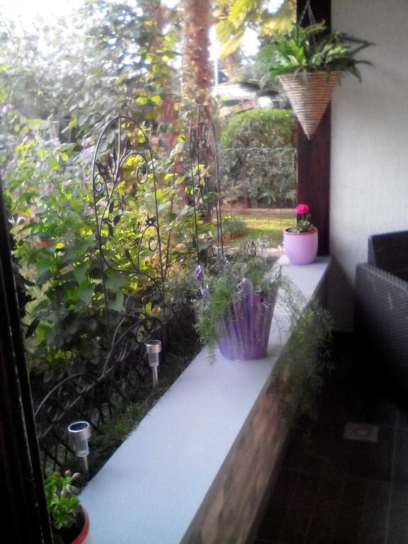 Apartment Poropat โปเรช ห้อง รูปภาพ