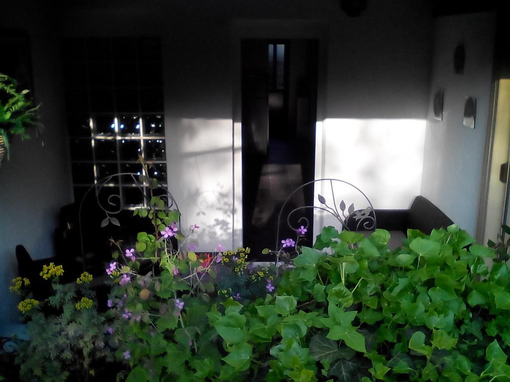 Apartment Poropat โปเรช ห้อง รูปภาพ